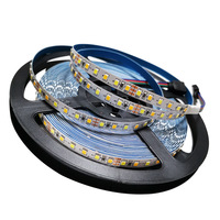 Bande lumineuse LED 2835 2 en 1 120 LED 24V/12V 8MM 5MM LARGEUR CCT Lumières LED Double couleur Deux tons BANDE LED IP20