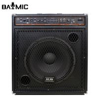 Amplificateur Combo Guitare Basse Acoustique Professionnel 15 Pouces 250W avec Haut-Parleur ACTIF pour Scène et DJ