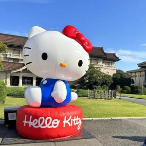 <span class=keywords><strong>Inflatable</strong></span> phim hoạt hình mèo <span class=keywords><strong>Kitty</strong></span> mô hình cho kinh doanh quảng cáo trẻ em sinh nhật Giáng sinh Đảng động vật khổng lồ không khí Blow-up mô hình - Product Image 6