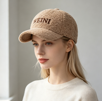 Casquette de baseball vintage épaisse et chaude pour l'automne et l'hiver, version coréenne, broderie en velours Teddy, chapeau unisexe chaud
