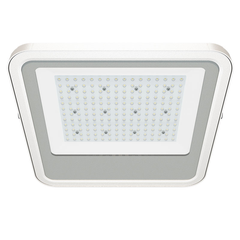 ATEX 100W LED Canopy Light with surface mounted