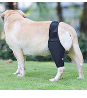 Support supplémentaire réduit la douleur Dislocation Arthrite Inflammation Genou Chien Genouillère