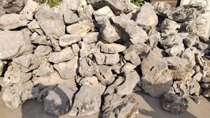 Tuinlandschapsarchitectuur Rotstuin Steenfabriek Direct voor Tuin Park Villa Decoratie Ondersteuning Aangepaste Ontwerpprojecten - Product Image 3