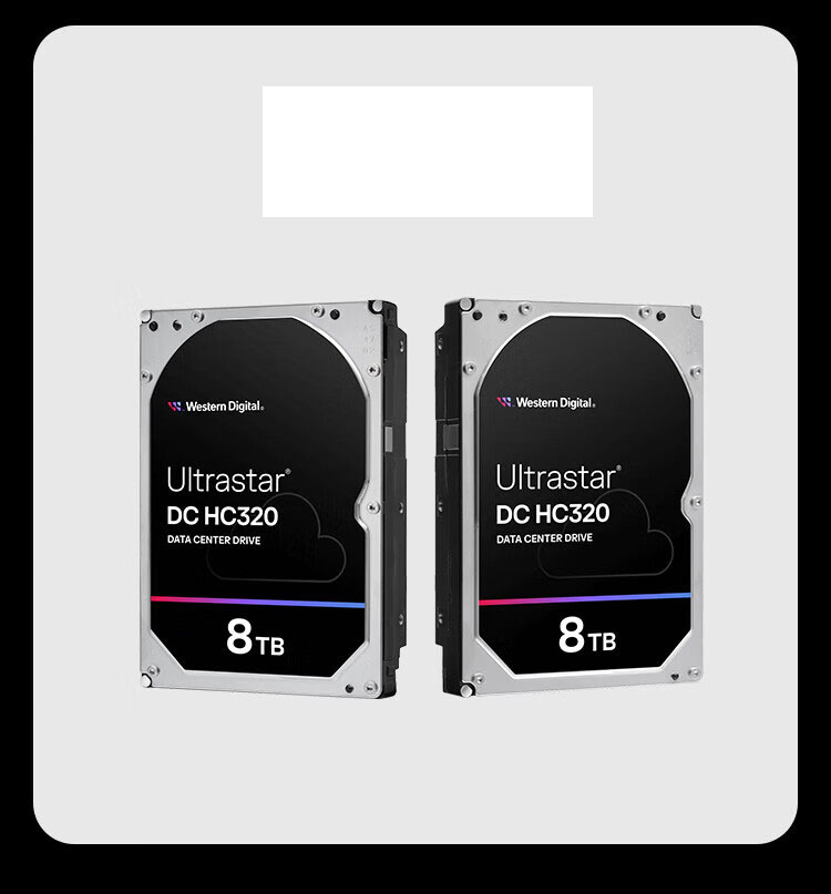 SAS-8TB