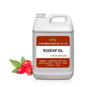 散装最优惠价格冷压载体油有机天然100% 纯玫瑰果籽油