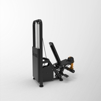 Équipement de musculation professionnel en acier, ergonomique, personnalisable et réglable, à charges guidées, pour extensions et curls des jambes, pour la musculation