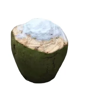 New Arrival coconut sugar powder production line coconut sugar dates powder product line
