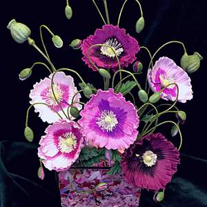 <span class=keywords><strong>Katy</strong></span> Sue แม่พิมพ์ซิลิโคนลายดอกป๊อปปี้สำหรับตกแต่งเค้กงานฝีมือลายดอกไม้ที่ทันสมัยเป็นมิตรกับสิ่งแวดล้อมทำให้กลีบดอกงาดำหัวดอกตูม - Product Image 4