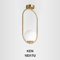 Lustre SkyCam de style traditionnel moderne E27 E26, lampe décorative, éclairage de plafond intérieur