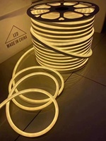 Bande lumineuse LED néon extérieure, blanc chaud, blanc froid, blanc pur, étanche, 1m découpable, rouleau de 100m, 8x16mm, AC220V
