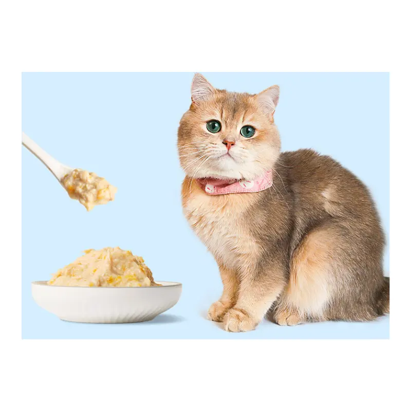Yüksek kalorili felix yavru sağlıklı yaşam çekirdek yüksek protein ucuz konserve kedi maması ıslak kedi kedi ıslak gıda aozi için gravy içinde can