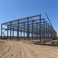 Fabricant de bâtiments en structure acier de couleur personnalisée, entrepôt métallique préfabriqué de Chongqing pour la construction d'usines
