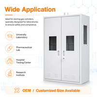 Armoire de sécurité pour bouteilles de gaz de laboratoire, casier de stockage en acier avec fenêtre d'observation ventilée pour laboratoire de recherche