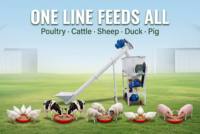 Ligne de production complète de granulés d'aliments pour animaux WWJX Mini avec mélangeur, élévateur et pelletiseur – Faible investissement pour agriculteurs débutants, extensible