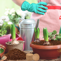 Blocs de terre de coco en granulés, respectueux de l'environnement, inodores, biodégradables, pour pépinière, jardin, semis, culture, fournitures de jardinage