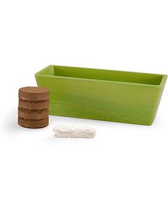 Mini kit <span class=keywords><strong>de</strong></span> jardin d'intérieur personnalisable pour enfants Ensemble d'outils à main <span class=keywords><strong>de</strong></span> luxe pour la culture du basilic Pots <span class=keywords><strong>de</strong></span> fleurs et jardinières Boîte d'emballage - Product Image 2