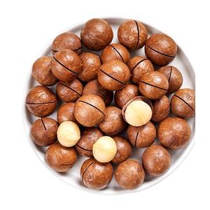 Noix de macadamia <span class=keywords><strong>séchées</strong></span> brutes de haute qualité, saines et économiques, peau brune, chair blanche, qualité snack, grade A, baril de 500g - Product Image 2