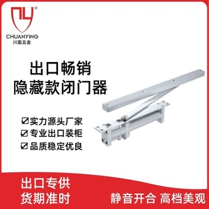 Cierrapuertas Oculto EN CY-080 CY-081 CY-084 CY-086 Ultra Delgado y Estrecho para Puertas de 25-120 kg - Product Image 6