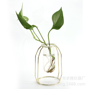 Jarrón de Metal Dorado de Estilo Nórdico con Tubo de Vidrio para Plantas Hidropónicas, Decoración de Escritorio 1222 - Product Image 1