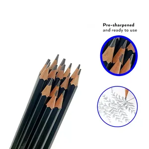 Professionale 12 14 18 20 pezzi Set di matite in grafite con scatola di metallo colorato HB piombo per schizzi di <span class=keywords><strong>Design</strong></span> artistico prezzo di fabbrica - Product Image 2