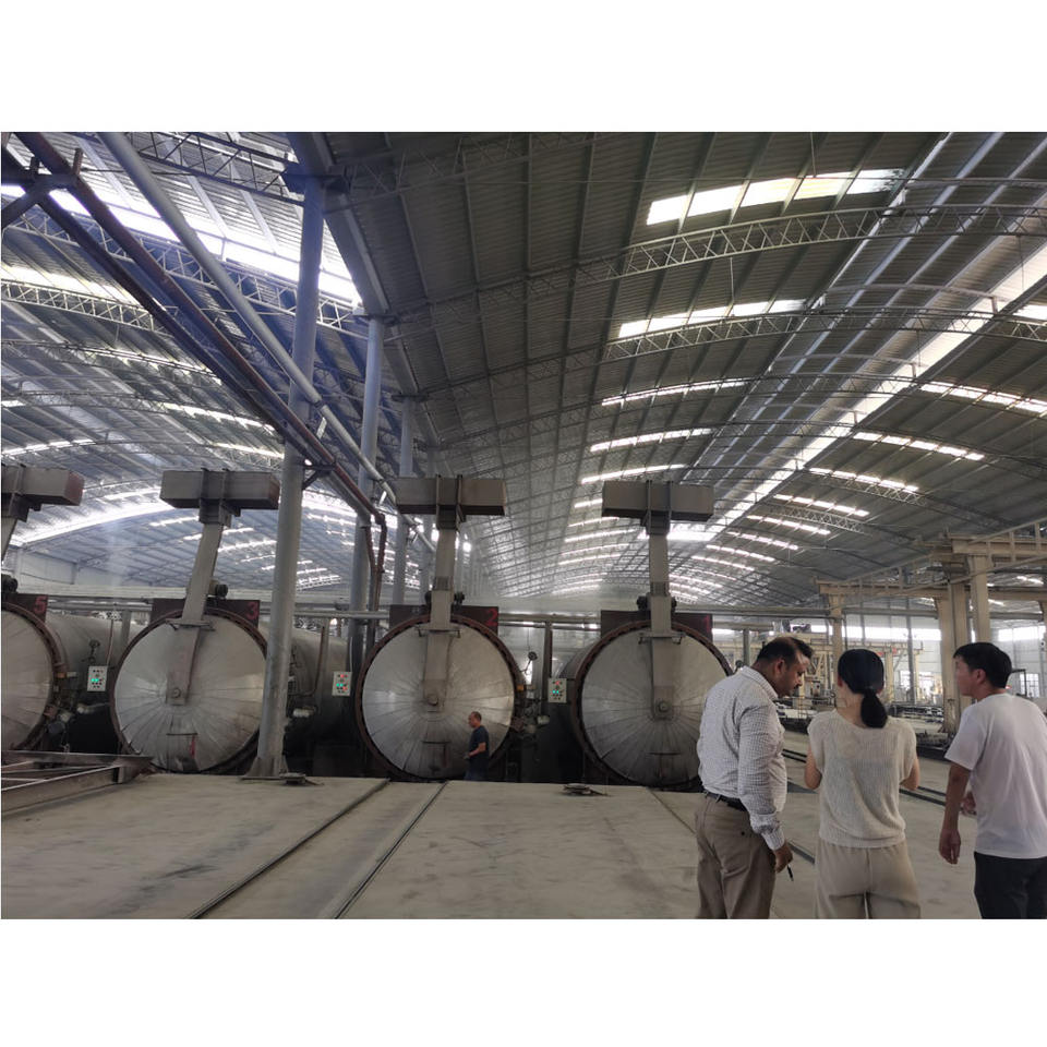 1000m3/day PLC Control AAC Production Line - FTL Quality