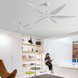 Ceiling Fan Light With Led Fixed Blade For Living Room And Study 5 Year Warranty - Product Image 2