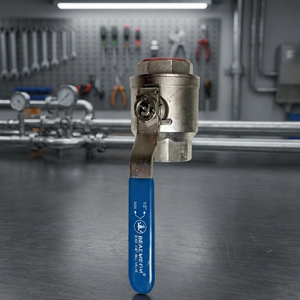 Vanne à boisseau sphérique manuelle industrielle haute performance en acier inoxydable CF8 CF8M, OEM, 1 pièce, passage plein, filetage NPT BSP - Product Image 2