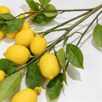 Grosir Ranting Lemon Hijau Buatan 135cm, Buah Palsu, Simulasi Batang Jeruk Nipis untuk Rangkaian Bunga, Tersedia Pesanan Khusus