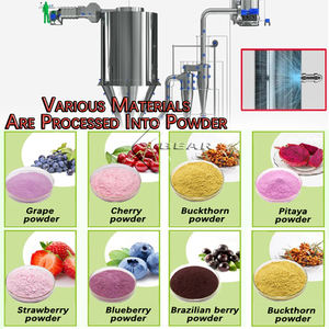 خلاصة الطعام الكهربائية الأوتوماتيكية لشاي بوليفينول الصناعي ، خلاصة الطعام من الصفراء ، من من من من من نوع X - Product Image 4