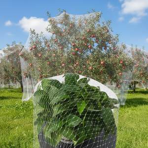 Filet <span class=keywords><strong>anti</strong></span>-oiseaux extrudé 5 g/m² en HDPE vierge 2x5 m pour la protection des vergers, des cours et des arbres fruitiers - Product Image 1