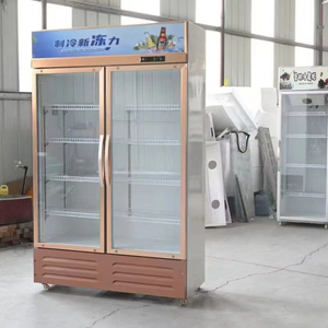 Comercial Auto descongelación Vertical doble puerta de vidrio <span class=keywords><strong>Pepsi</strong></span> Coke <span class=keywords><strong>Cola</strong></span> cerveza nevera bebida enfriador para supermercado con luz - Product Image 1