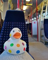 Canard de bain flottant en vinyle et caoutchouc pour bébés, jouet personnalisé en gros, vente chaude d'usine, jouet Qiyu
