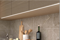 Lumière LED encastrée pour armoire avec détecteur de mouvement Toolmaster 12V, température de couleur 2700K-6000K, 600 lumens, IRC 80, garantie de 2 ans pour la carte