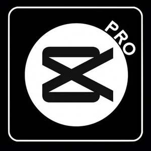 Licencia de Software Capcut Pro y Suscripción a Edición de Vídeo, 1 Mes, en Stock - Product Image 4