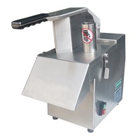 Volledig automatische multifunctionele fruit- en groentesnijder; RVS-voedselverwerkingsmachine met snij- en raspenfuncties