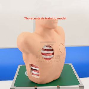 Simulador de Maniquí de Toracocentesis y Drenaje de Tamaño Real Avanzado con Material de PVC - Módulo de Entrenamiento para Punción de Neumotórax - Product Image 4