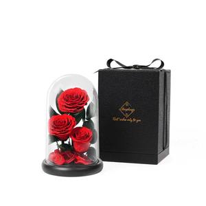 Rosa Essiccata in Acrilico, Il Piccolo <span class=keywords><strong>Principe</strong></span>, Regalo Qixi, Fiore Conservato, Regalo di San Valentino, Fiore Conservato di Alta Qualità - Product Image 2