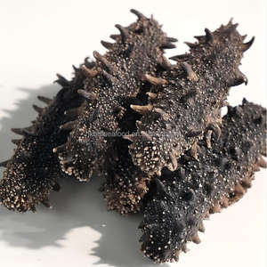 Dragon1KG ทะเลแห้งปลิงทะเลน้ำจืดธรรมชาติแสงแดดอบแห้ง - Product Image 1