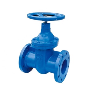 Válvula de Compuerta Manual de Hierro Dúctil GGG50 de 50mm con Asiento Metálico DIN 3355 F5 PN16 - Product Image 2