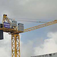 Mini-grue à tour 2T avec moteur et boîte de vitesses, haute efficacité, télécommande électrique, interrupteur de fin de course, hauteur de levage 120M, Chine