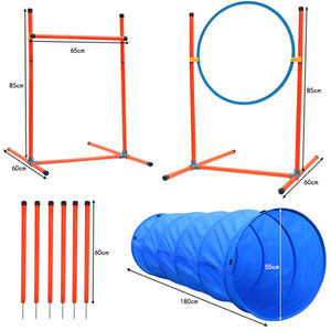 Ensemble d'équipement d'entraînement à l'agilité personnalisé <span class=keywords><strong>pour</strong></span> <span class=keywords><strong>chien</strong></span> Kit de démarrage <span class=keywords><strong>pour</strong></span> parcours d'obstacles <span class=keywords><strong>pour</strong></span> <span class=keywords><strong>chien</strong></span> Jeu d'extérieur <span class=keywords><strong>pour</strong></span> animaux de compagnie avec tunnel - Product Image 2