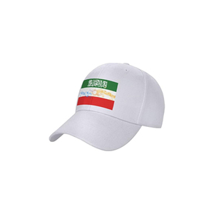 OEM Factory Direct <strong>Selling</strong> Red White Green Color Innovative Product Gift Promotional Large Outdoor Somaliland <strong>Flag</strong> - Product Image 6