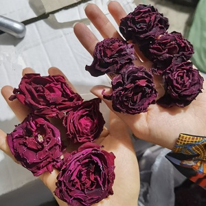 Thé à la Rose <span class=keywords><strong>séchée</strong></span> <span class=keywords><strong>de</strong></span> haute qualité, à l'<span class=keywords><strong>encre</strong></span> <span class=keywords><strong>de</strong></span> fleur <span class=keywords><strong>séchée</strong></span>, Rose rouge, 100% naturel, rouge foncé - Product Image 6
