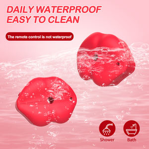 Volwassen Afstandsbediening Voor Dames Elektrische Tepelklemmen Usb-Aangedreven Borstvibrator Marteling Massager Seksspeeltje Clip - Product Image 2