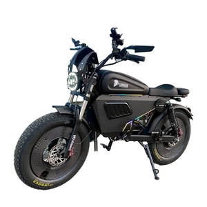 Nuevo Diseño, Bicicleta Eléctrica de Litio de 20 Pulgadas y 3000W, 48V, Alta Velocidad, para Adultos, Uso Urbano, Montaña, Ciclismo al Aire Libre, HWS Electrónico de Alto Rendimiento - Product Image 6