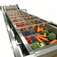 Automatische commerciële roestvrijstalen voedselverwerkingsapparatuur voor het bubbelenwassen van verse fruit en groenten