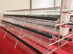 Nouvelles cages à poulets automatiques de type A à 3 ou 4 niveaux, cages à poules pondeuses multifonctionnelles, garantie de 5 ans - Product Image 5