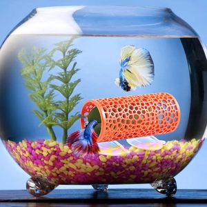 <span class=keywords><strong>Betta</strong></span> Toy, Goldfish Tunnel negro, pequeño agujero hueco materiales más seguros Camarón acuario decoración pecera tubo oculto - Product Image 6