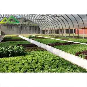 Pe Film Gewächshaus für die Landwirtschaft kosten günstige Tunnel Typ Aquaponics Kit Salat Hydro ponik