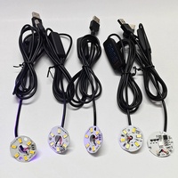 Placa LED Sunssy con Conexión USB 5V de Bajo Voltaje, Luz Blanca Cálida y Colorida, con Control Remoto, para Proyectos DIY de Iluminación Nocturna